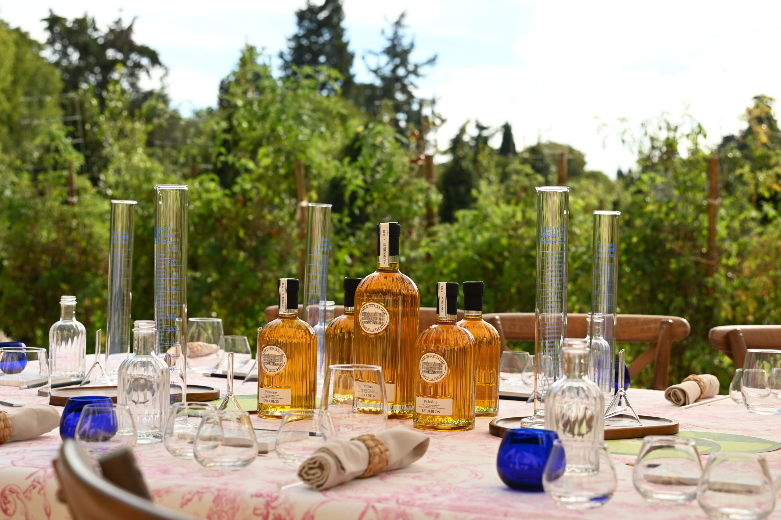 Verre de vins rouges qui trinquent