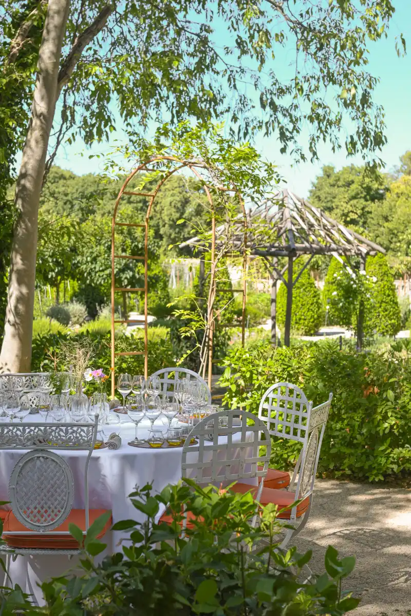 Dégustations vins et huile d'olives Chateau d'estoublon
