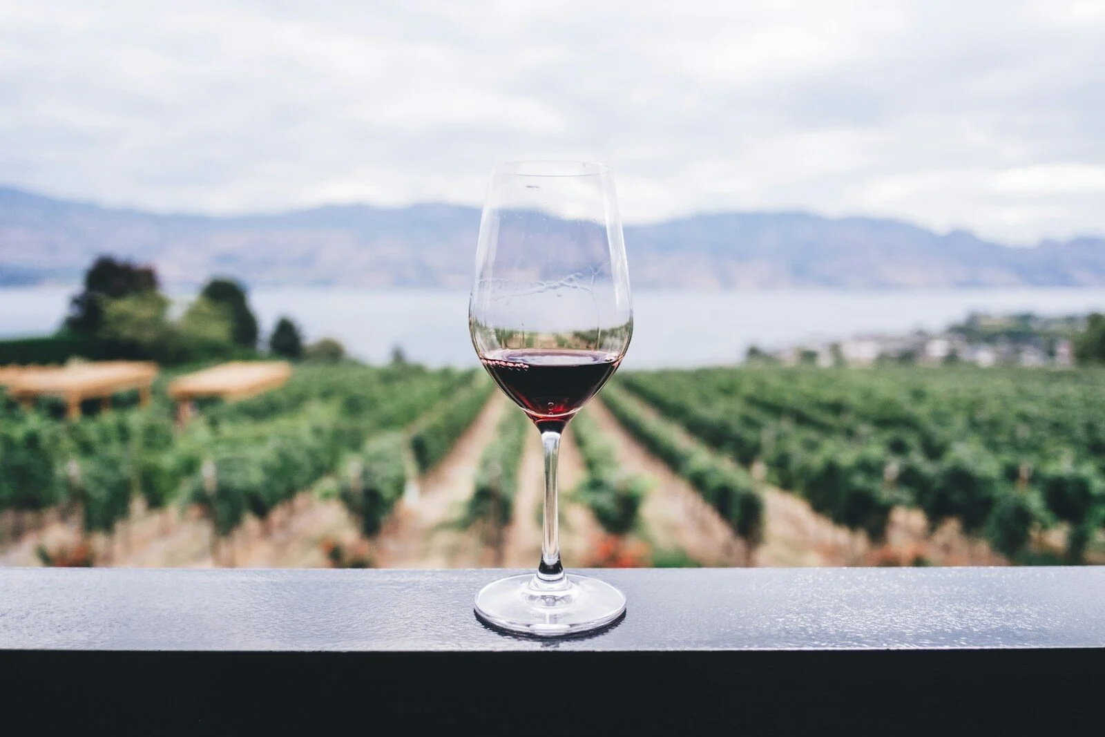 Verre de vin rouge vigne et mer wine tours bandol